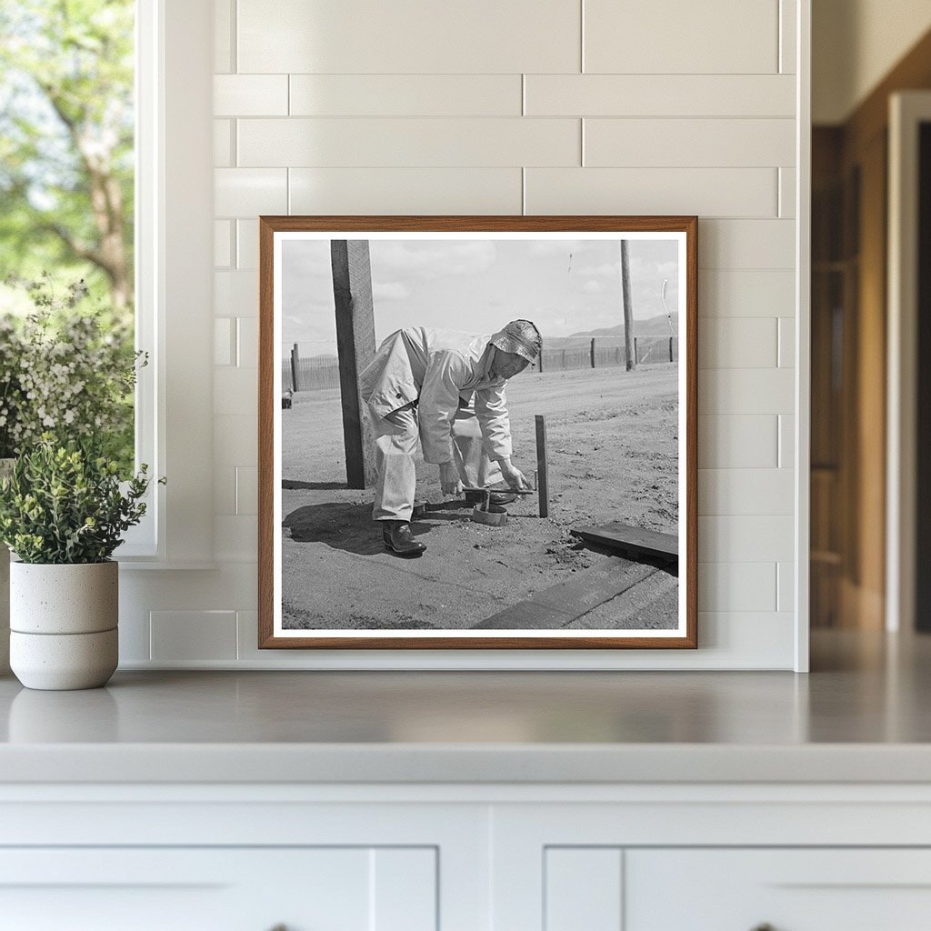 Irrigator in Guayule Nursery Salinas California 1942 - Available at KNOWOL