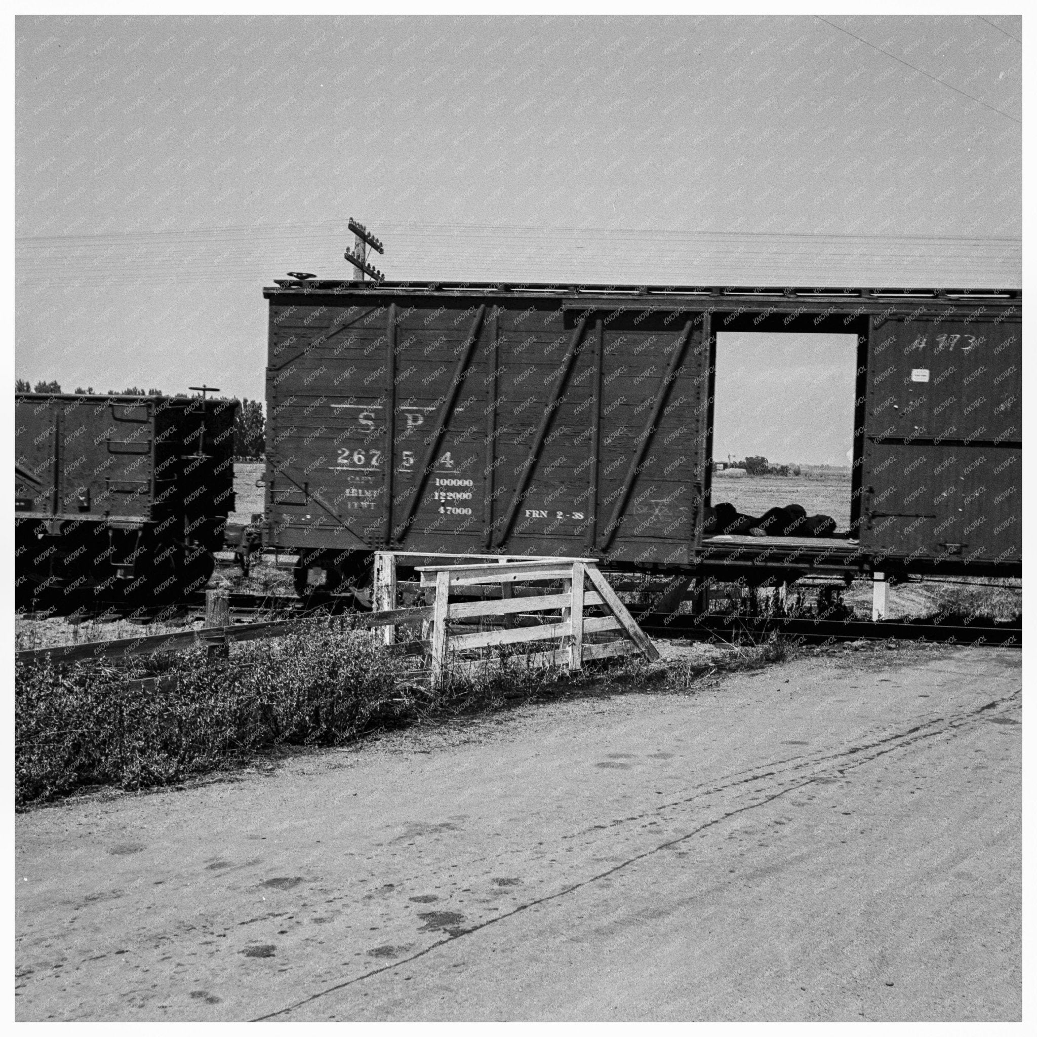 Itinerant Laborers Riding Freight Trains California 1938 - Available at KNOWOL