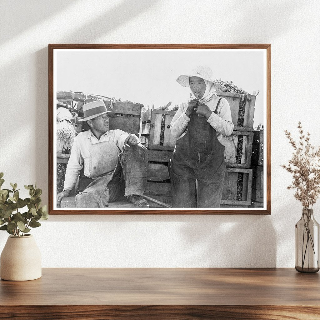 Japanese Agricultural Workers Packing Broccoli 1937 - Available at KNOWOL