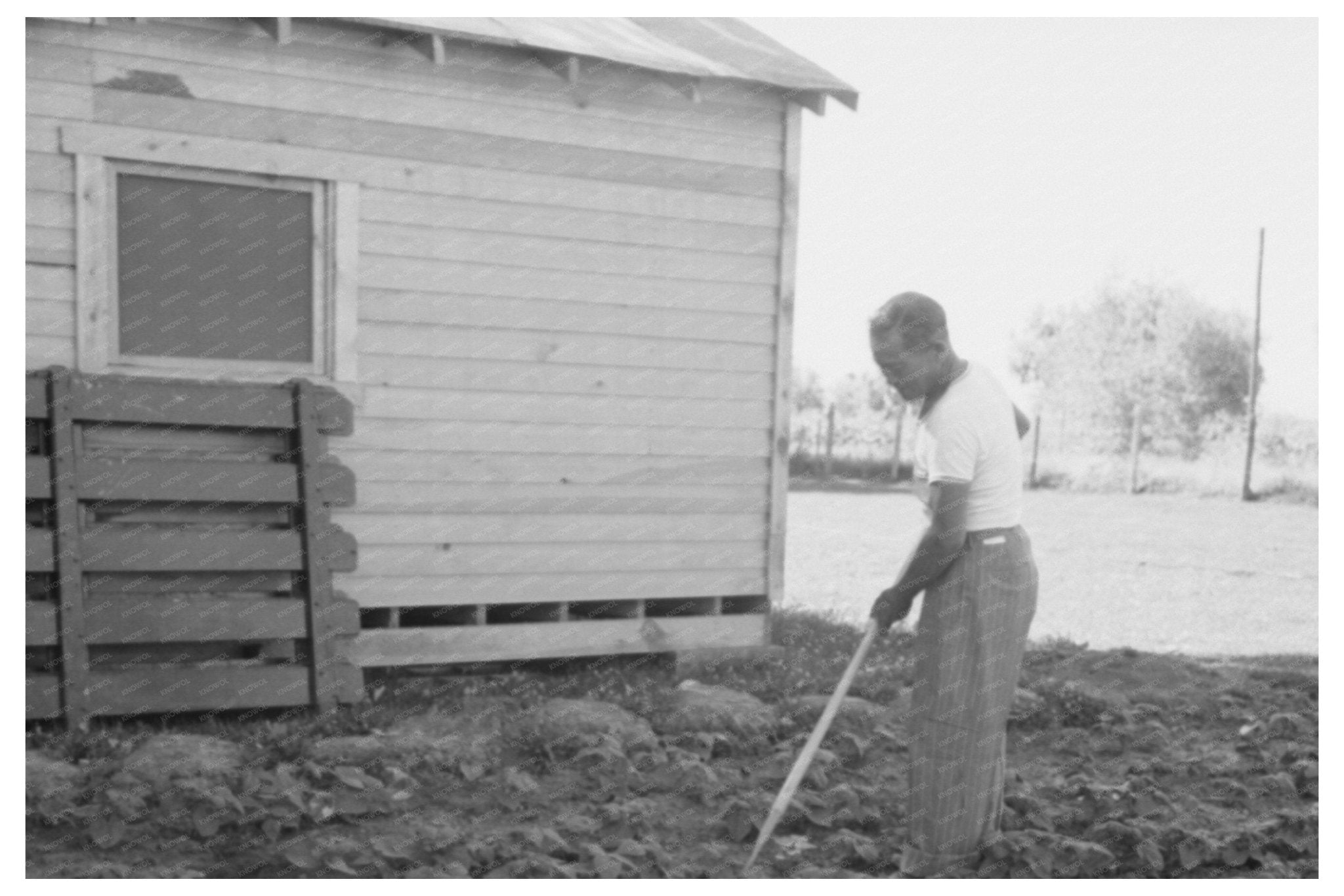 Japanese - American Farm Laborer Malheur County Oregon 1942 - Available at KNOWOL