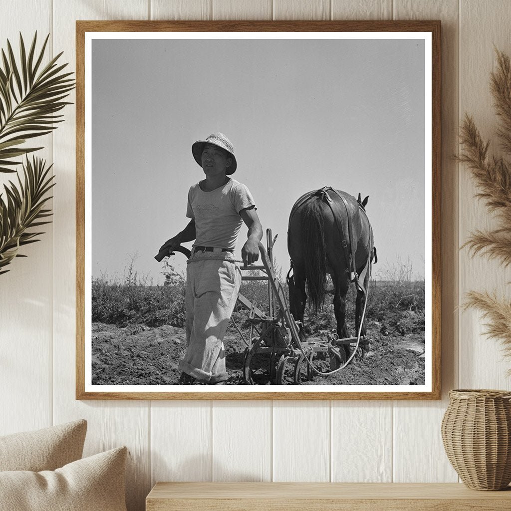 Japanese - American Farm Worker in Nyssa Oregon 1942 - Available at KNOWOL