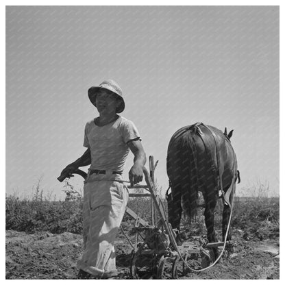 Japanese - American Farm Worker in Nyssa Oregon 1942 - Available at KNOWOL