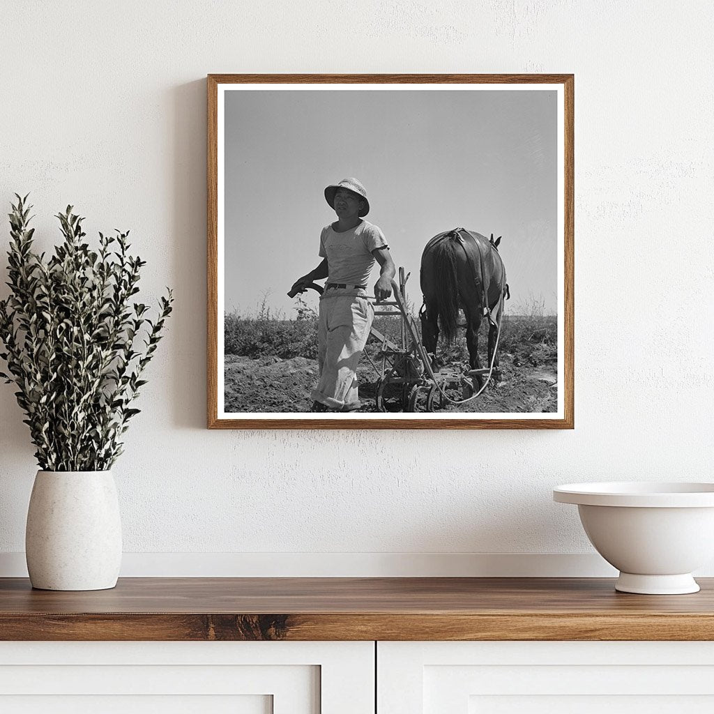 Japanese - American Farm Worker in Nyssa Oregon 1942 - Available at KNOWOL