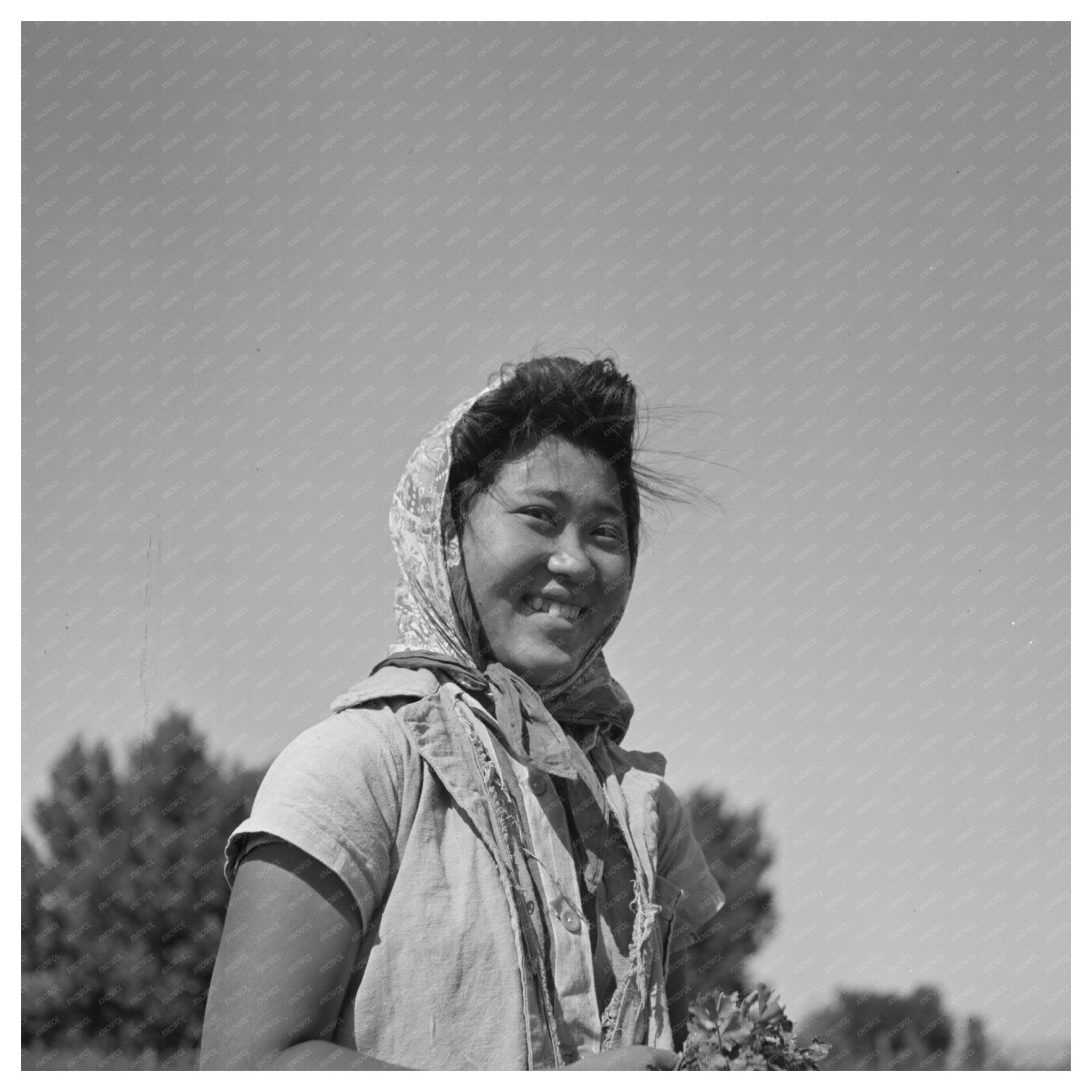 Japanese - American Farm Worker Nyssa Oregon July 1942 - Available at KNOWOL