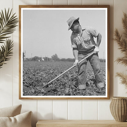 Japanese - American Farmer in California May 1942 - Available at KNOWOL