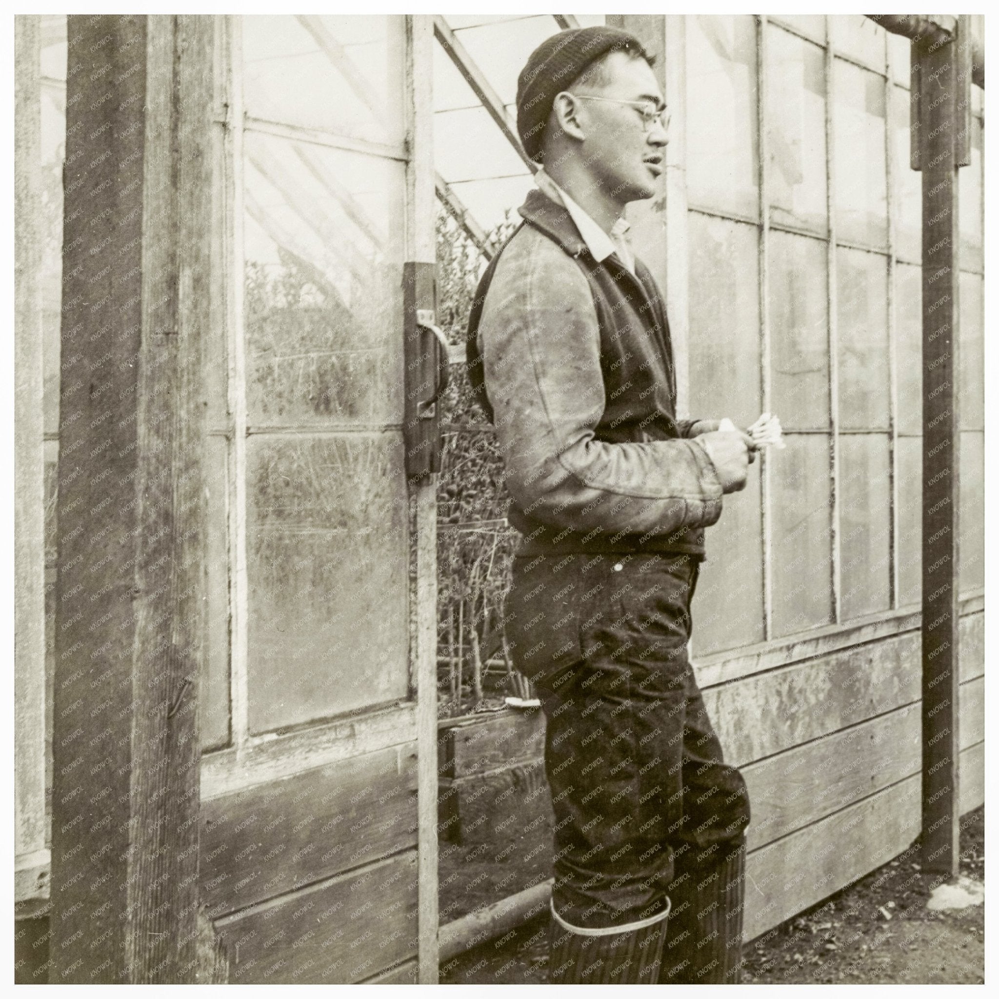 Japanese American Farmer in Greenhouse April 1942 - Available at KNOWOL