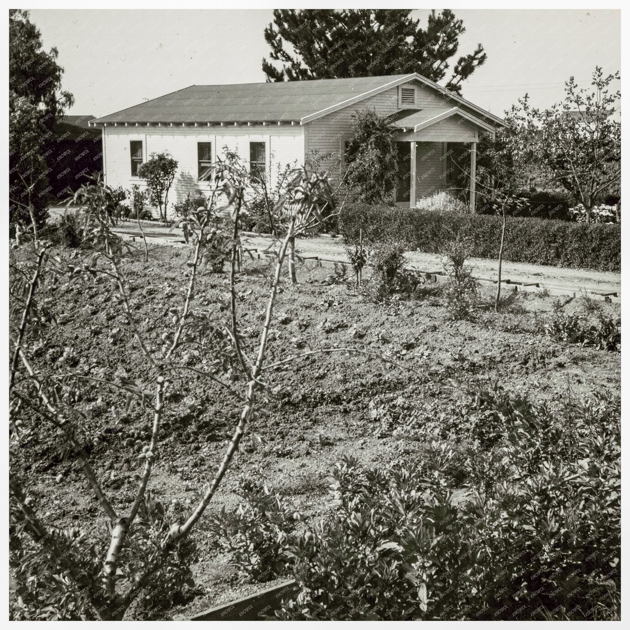 Japanese American Farmers Home in Mountain View 1942 - Available at KNOWOL