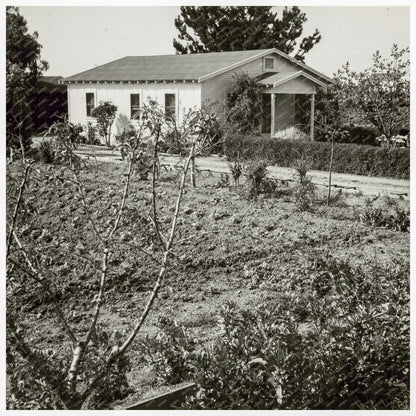 Japanese American Farmers Home in Mountain View 1942 - Available at KNOWOL