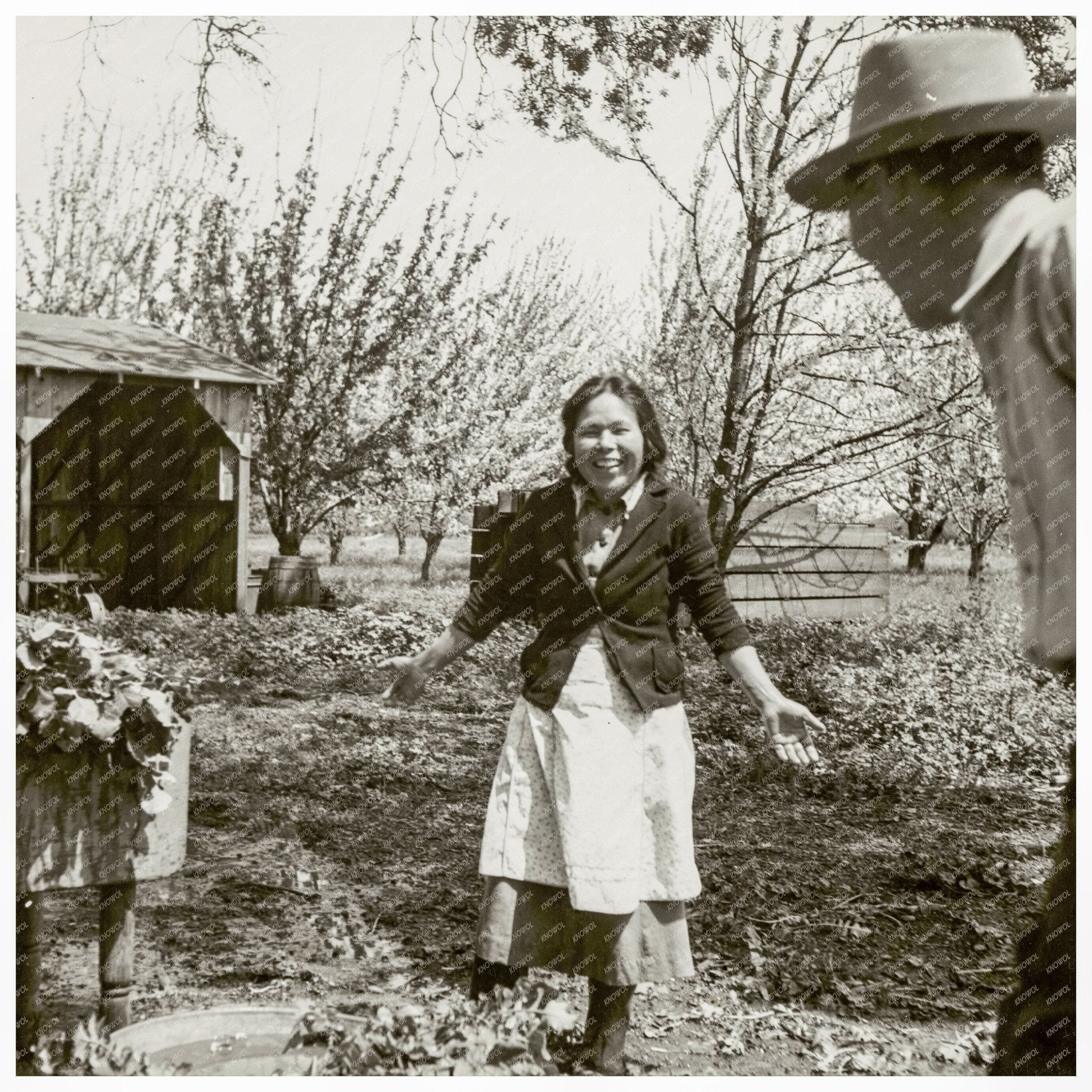 Japanese American Farmers in Mountain View 1942 - Available at KNOWOL