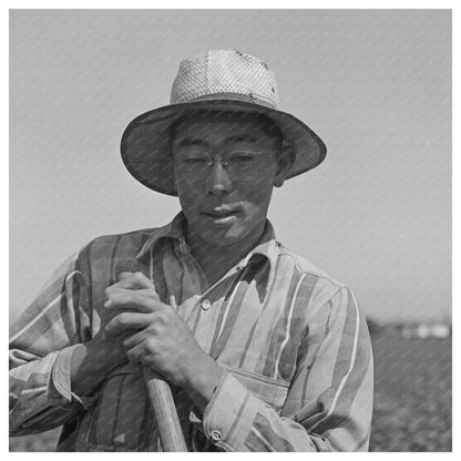 Japanese - American Worker in San Benito County 1942 - Available at KNOWOL