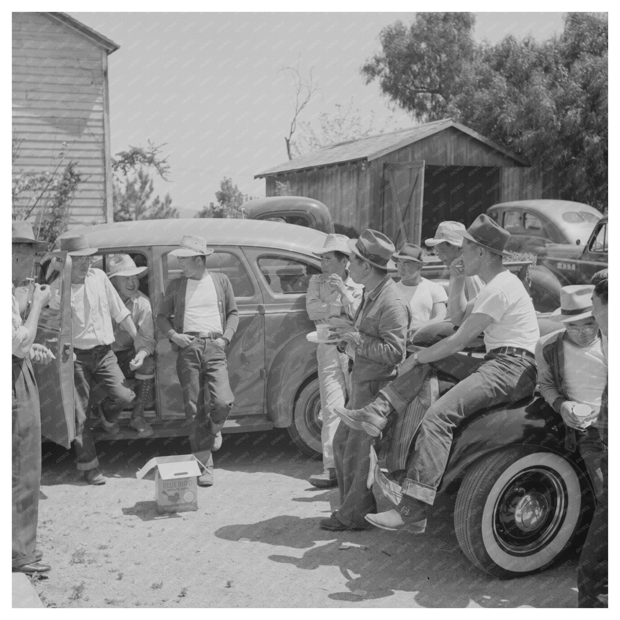 Japanese - Americans Picnicking in San Benito County 1942 - Available at KNOWOL