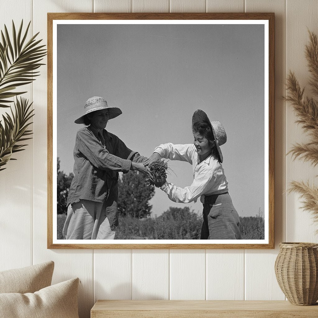 Japanese and White Americans Working in Celery Field 1942 - Available at KNOWOL