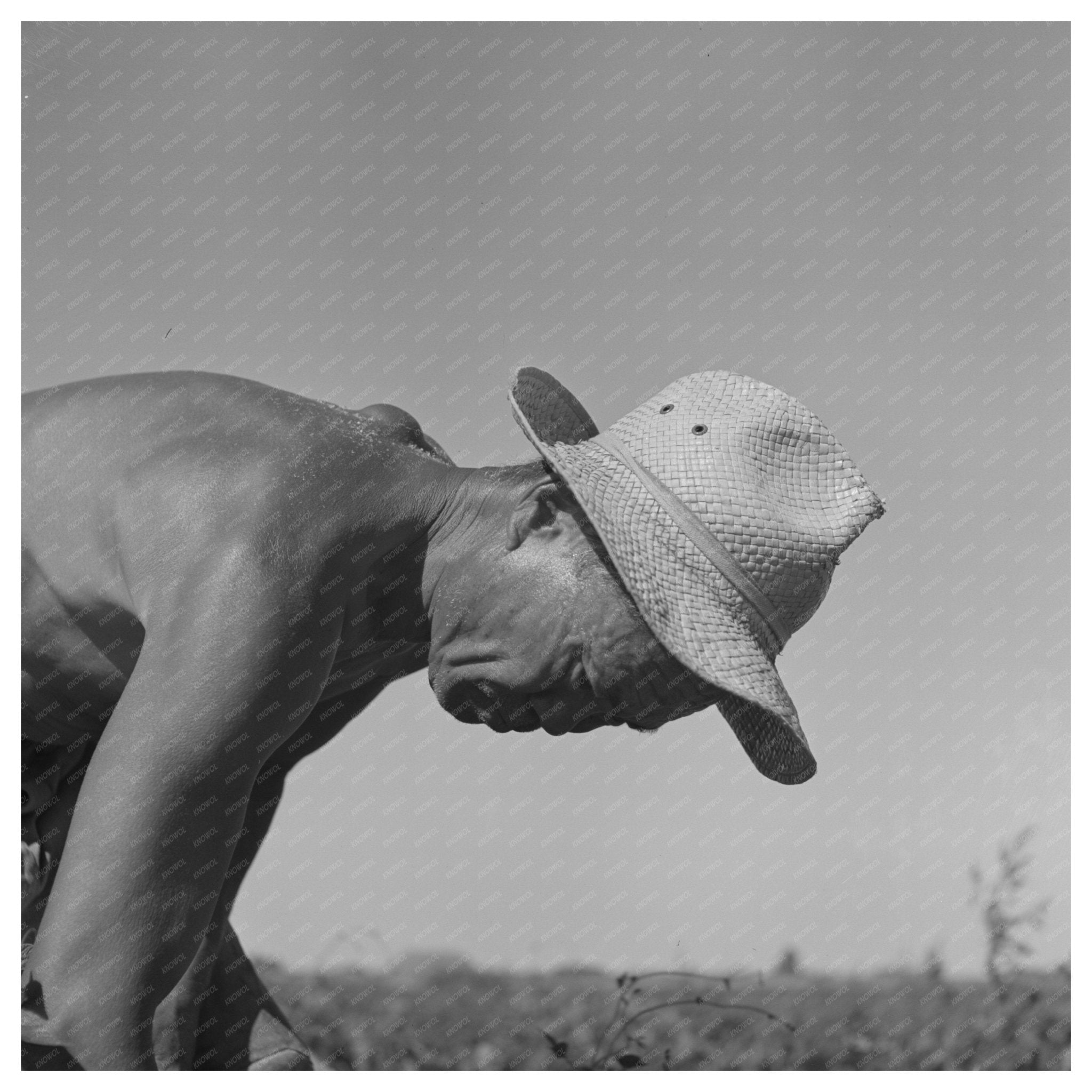 Japanese Farm Worker at FSA Camp Twin Falls 1942 - Available at KNOWOL