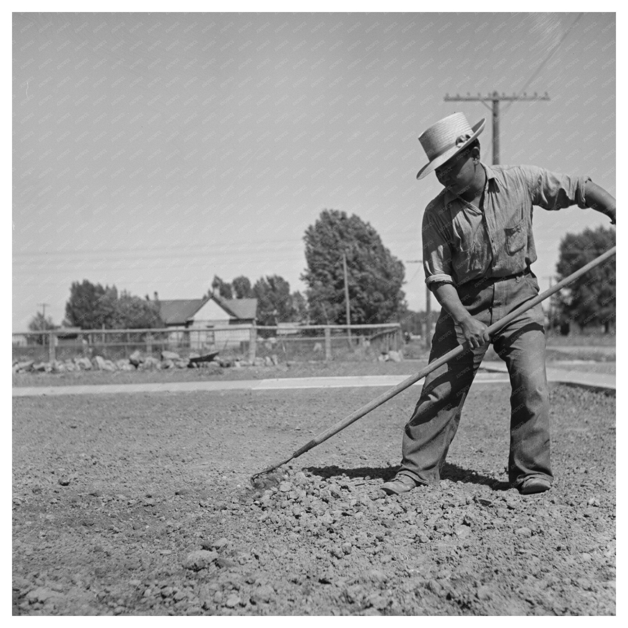 Japanese Farm Worker Lawn Maintenance July 1942 Shelley Idaho - Available at KNOWOL