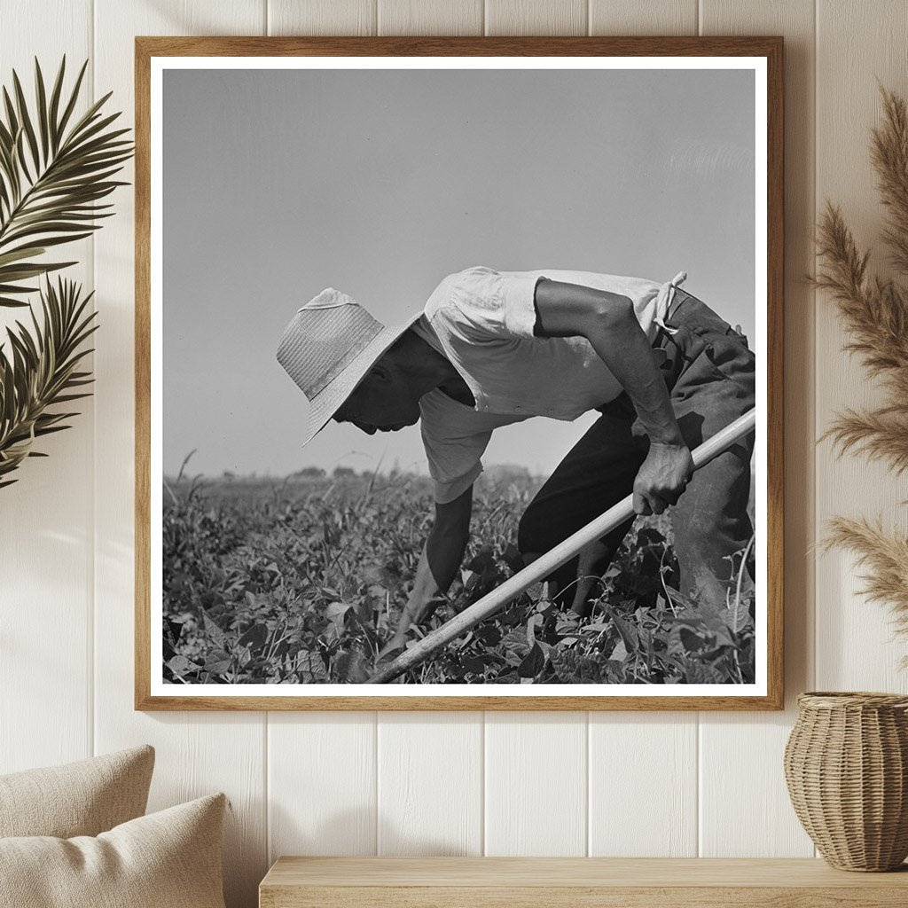 Japanese Farm Workers in Twin Falls Idaho July 1942 - Available at KNOWOL