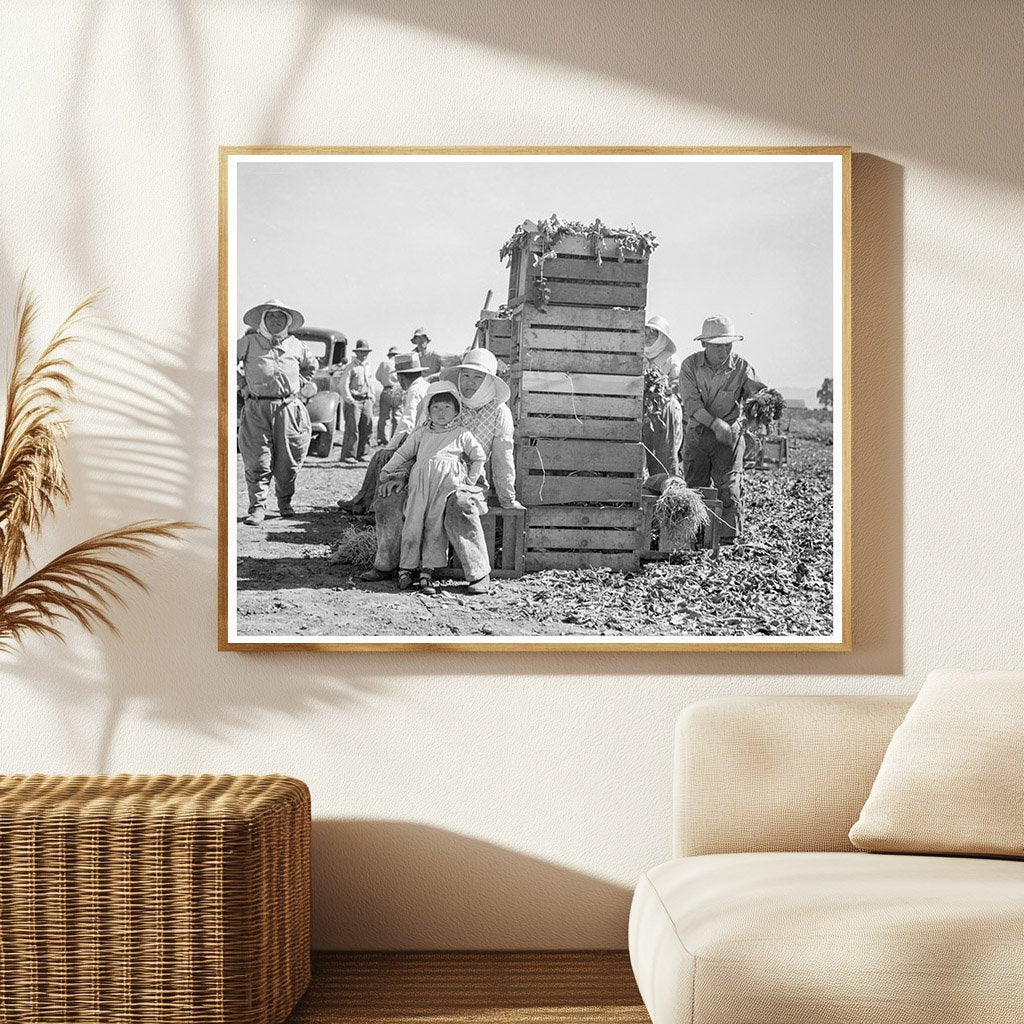 Japanese Workers Packing Broccoli California 1937 - Available at KNOWOL