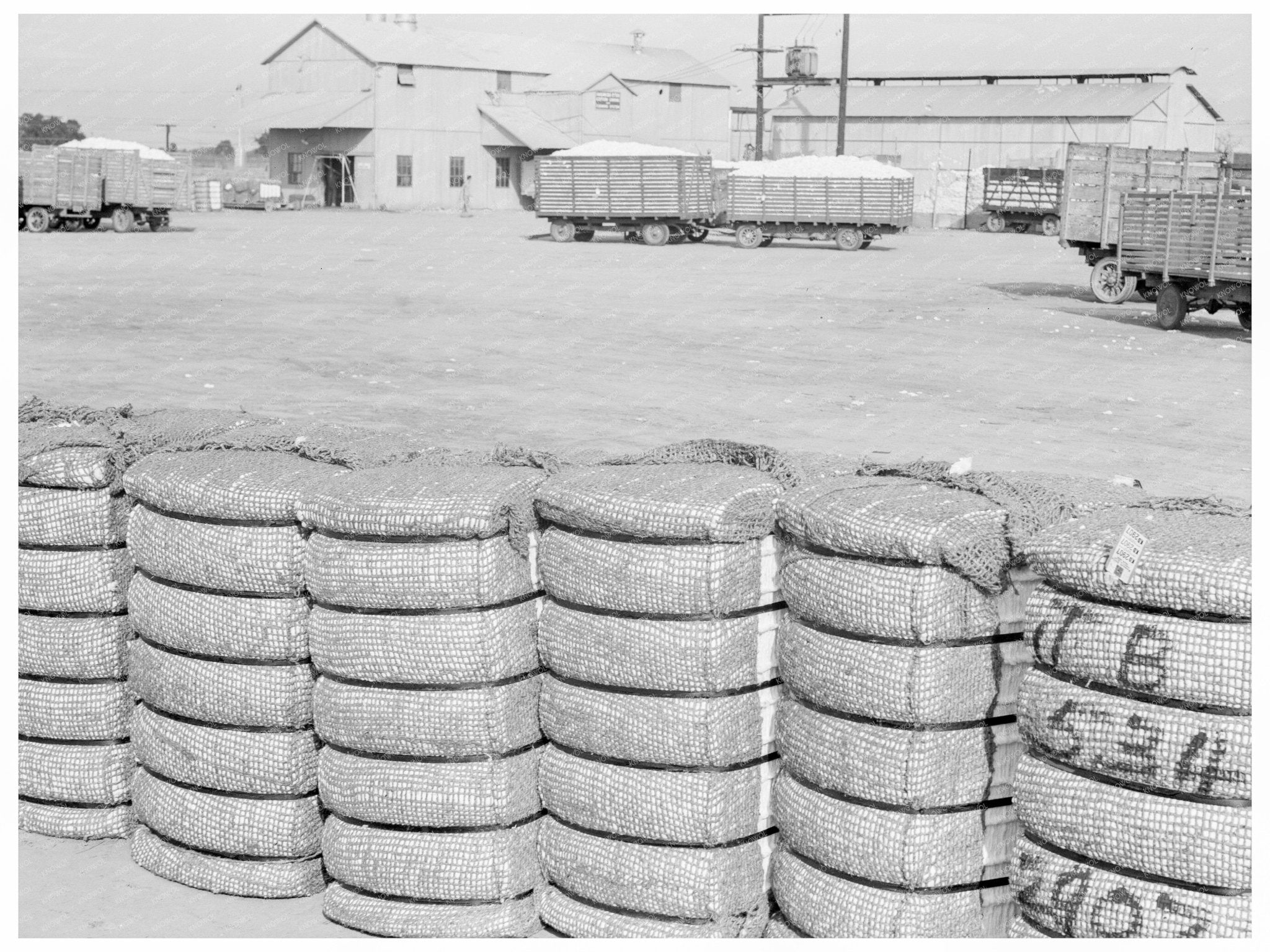 Kaweah Delta Cooperative Cotton Gin Tulare County 1938 - Available at KNOWOL