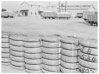 Kaweah Delta Cooperative Cotton Gin Tulare County 1938 - Available at KNOWOL