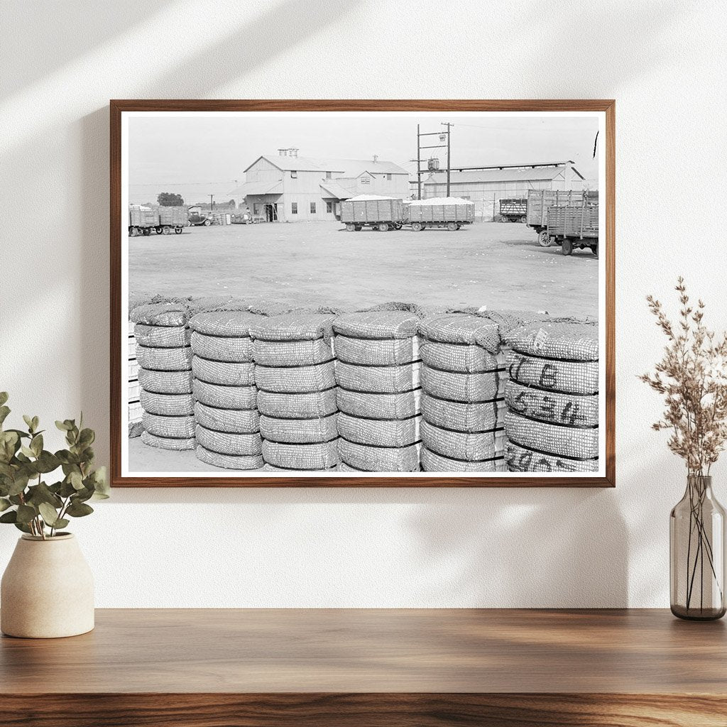 Kaweah Delta Cotton Gin Operations November 1938 - Available at KNOWOL