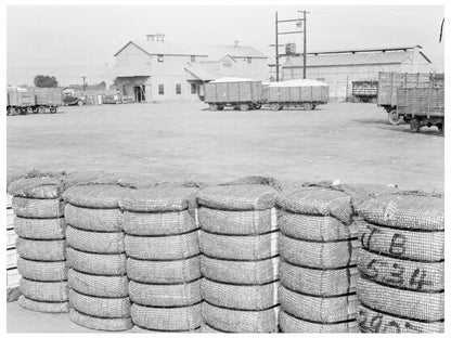 Kaweah Delta Cotton Gin Operations November 1938 - Available at KNOWOL