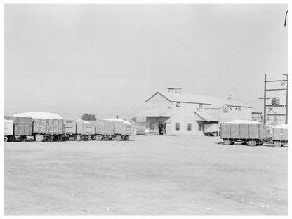 Kaweah Delta Cotton Gin Tulare County California 1938 - Available at KNOWOL