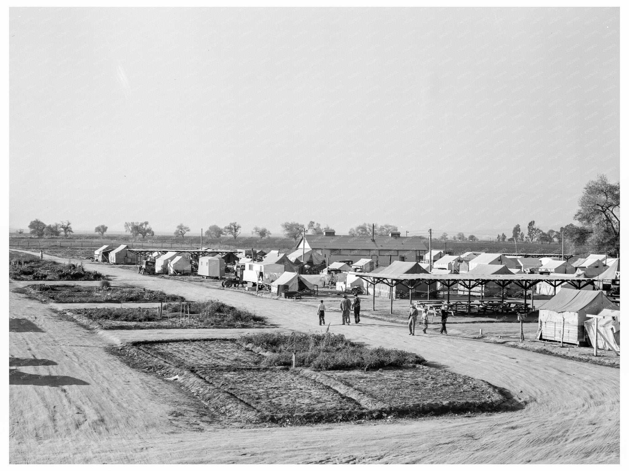 Kern County Migrant Camp Community Garden November 1936 - Available at KNOWOL