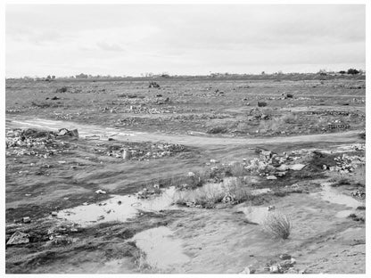 Kern County Migrant Camp Debris February 1939 - Available at KNOWOL