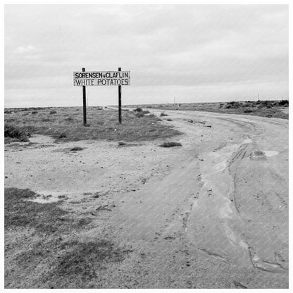 Kern County Potato Farming Image February 1939 - Available at KNOWOL