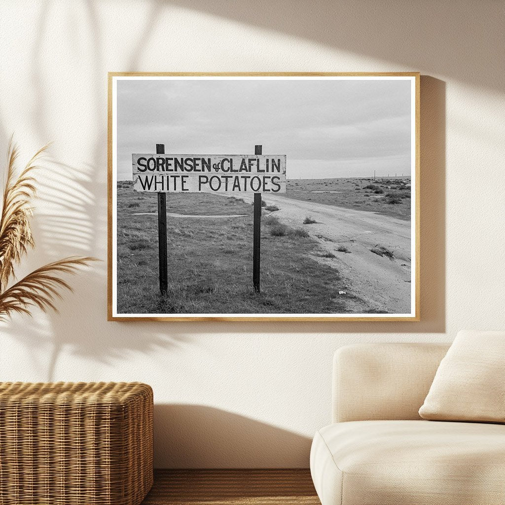 Kern County Potato Farming Landscape February 1939 - Available at KNOWOL