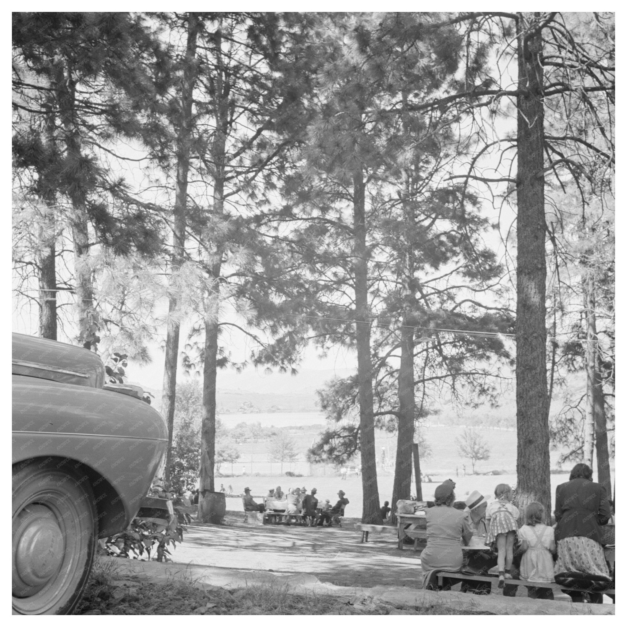 Klamath Falls Park Scene July 1942 Vintage Photograph - Available at KNOWOL