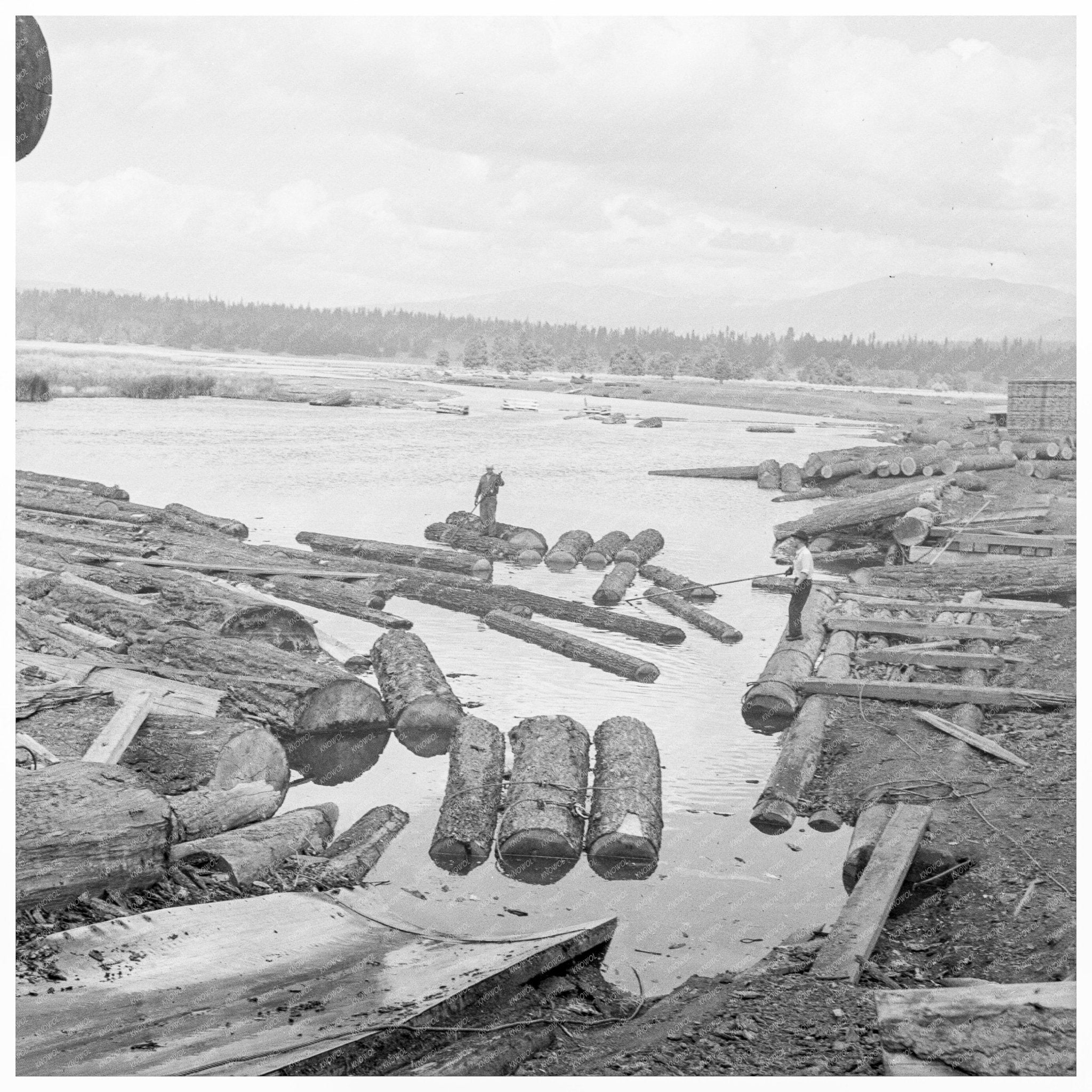 Klamath River Mill Pond Log Rafts Oregon 1939 - Available at KNOWOL