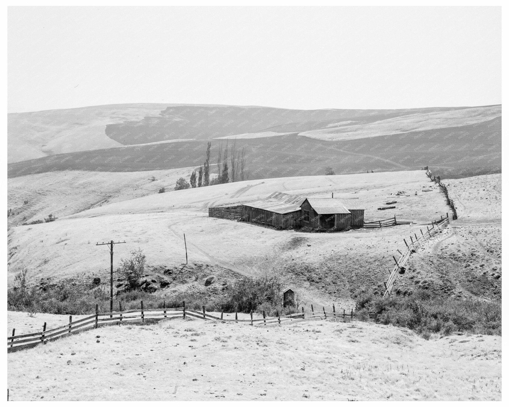 Klickitat County Landscape August 1939 Overgrazing Issues - Available at KNOWOL