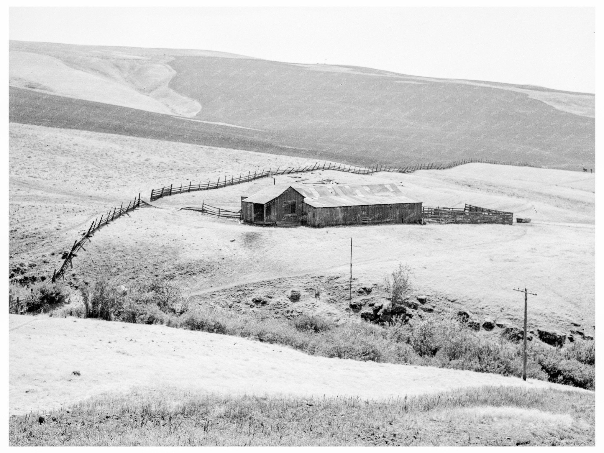 Klickitat County Landscape Overgrazing August 1939 - Available at KNOWOL