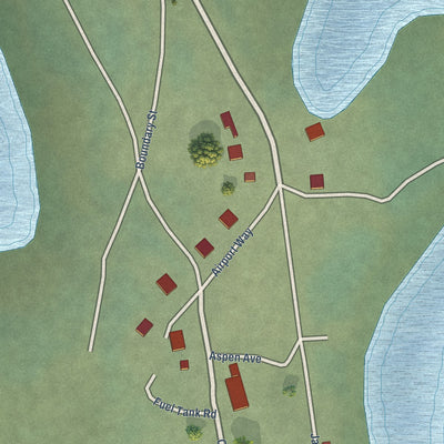 Close-up of the map of Birch Creek, Alaska print showing street and building detail