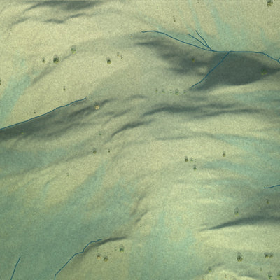 Close-up of the map of Coldfoot, Alaska print showing street and building detail