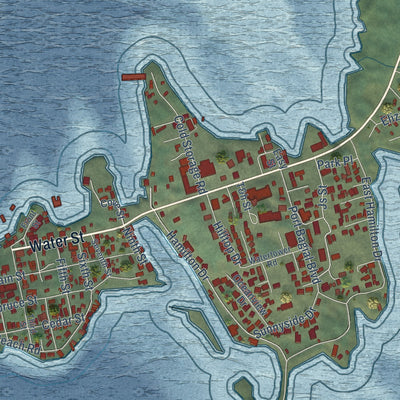 Close-up of the map of Craig, Alaska print showing street and building detail