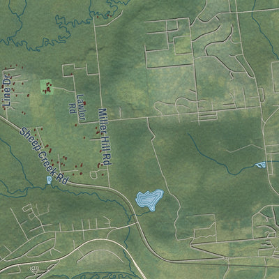 Close-up of the map of Goldstream, Alaska print showing street and building detail