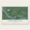 Harding-Birch Lakes, Alaska map print, the full design