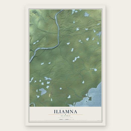 Iliamna, Alaska map print, the full design