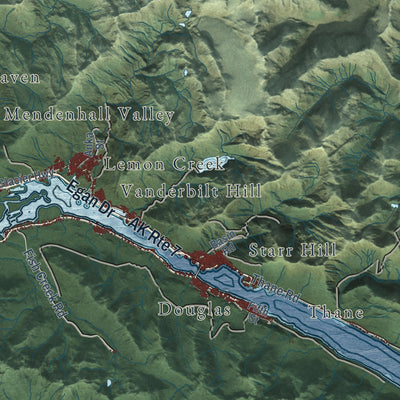 Close-up of the map of Juneau, Alaska print showing street and building detail