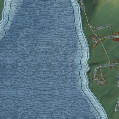 Close-up of the map of King Cove, Alaska print showing street and building detail