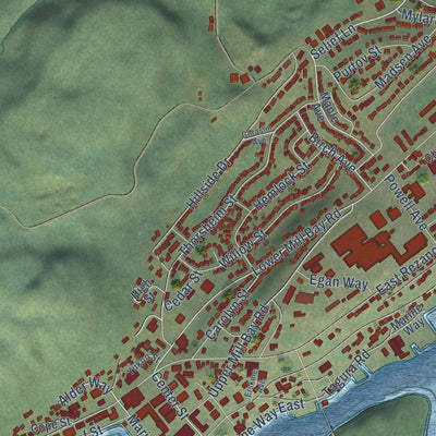 Close-up of the map of Kodiak, Alaska print showing street and building detail