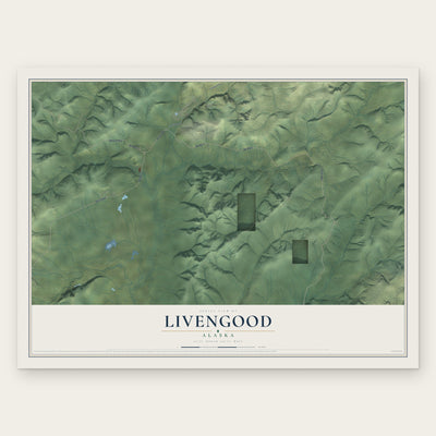 Livengood, Alaska map print, the full design