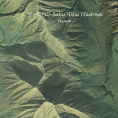 Close-up of the map of McCarthy, Alaska print showing street and building detail
