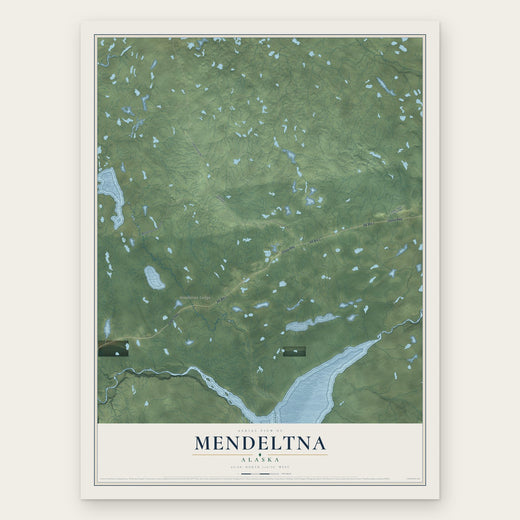 Mendeltna, Alaska map print, the full design