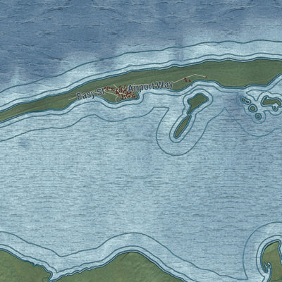 Close-up of the map of Nelson Lagoon, Alaska print showing street and building detail
