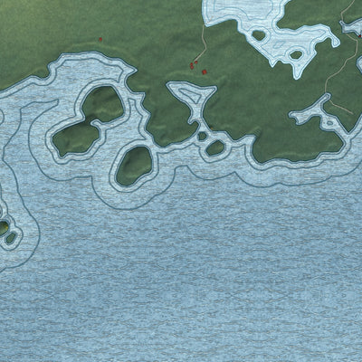 Close-up of the map of Pedro Bay, Alaska print showing street and building detail