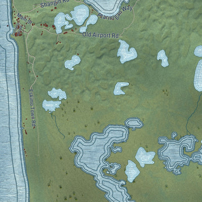 Close-up of the map of Pilot Point, Alaska print showing street and building detail