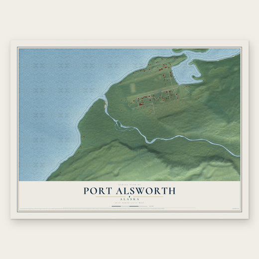 Port Alsworth, Alaska map print, the full design
