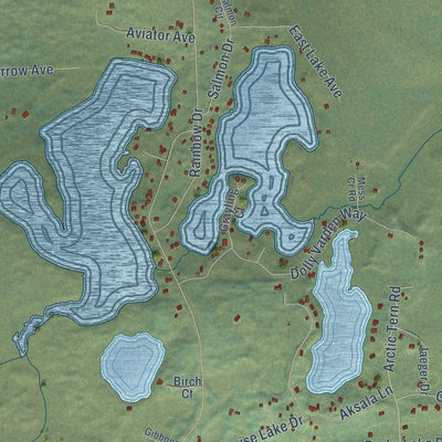 Close-up of the map of Ridgeway, Alaska print showing street and building detail